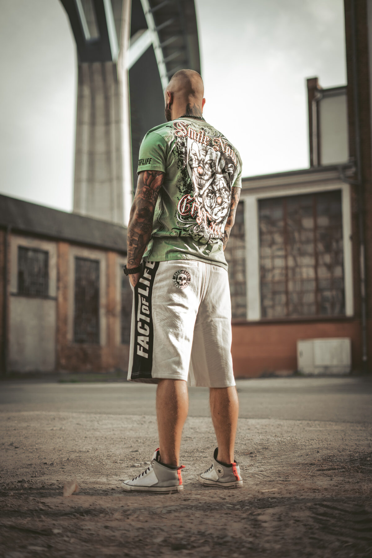 Fact of Life Shorts "Flying Skull" S-02 light grey – Bild 7